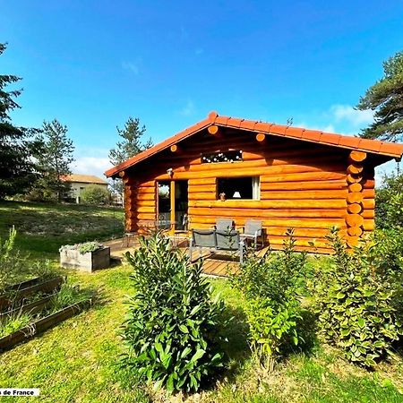 Pialous:Chalet En Rondins Avec Espace Detente La Chapelle-d'Aurec المظهر الخارجي الصورة