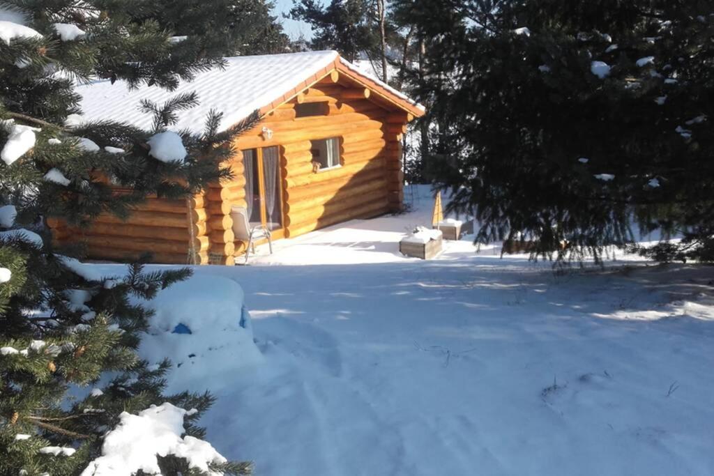 Pialous:Chalet En Rondins Avec Espace Detente La Chapelle-d'Aurec المظهر الخارجي الصورة