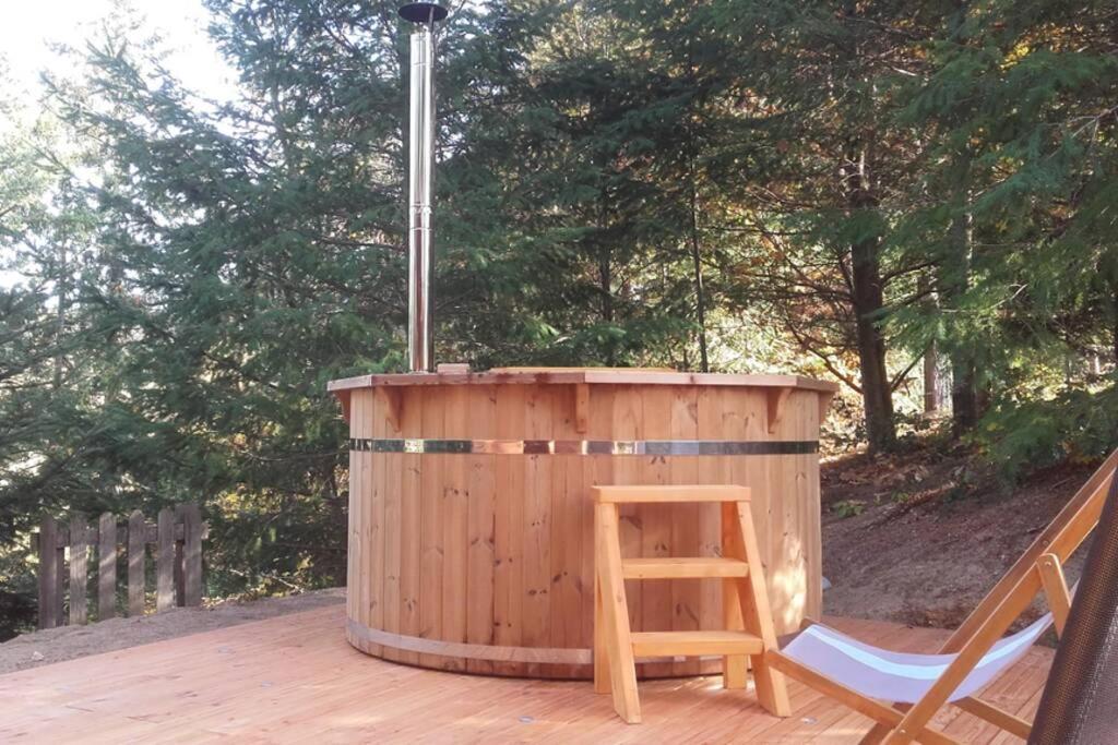 Pialous:Chalet En Rondins Avec Espace Detente La Chapelle-d'Aurec المظهر الخارجي الصورة